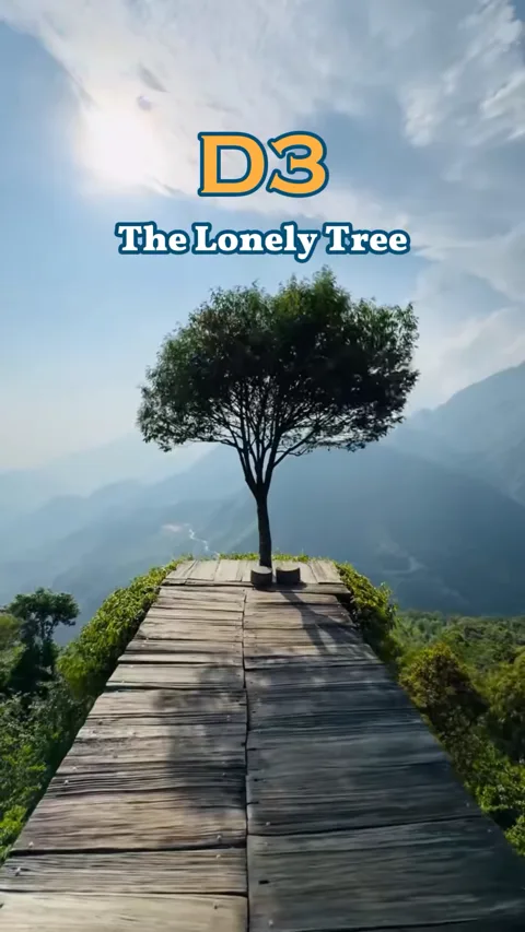 North Vietnam region