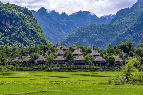 Sapa trekking