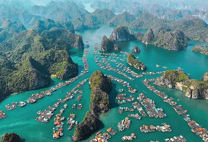 Different modes of transportation from Hanoi to Cat Ba Island, including a cruise ship, shuttle bus, and motorbike.