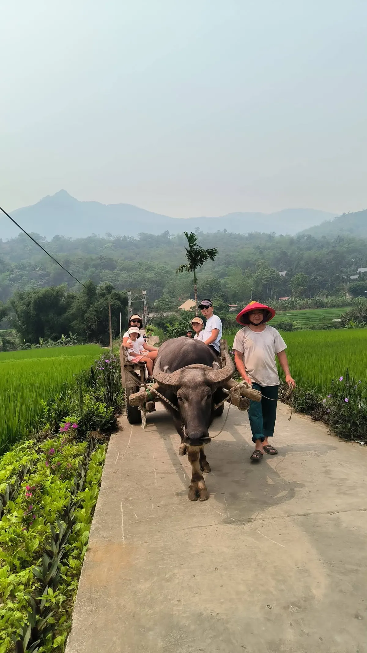 Airlines for Domestic and International Travel in Vietnam