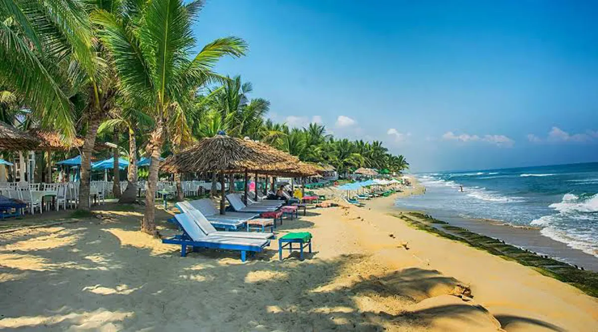 A Comprehensive Guide to Da Nang's Diverse Dining Scene