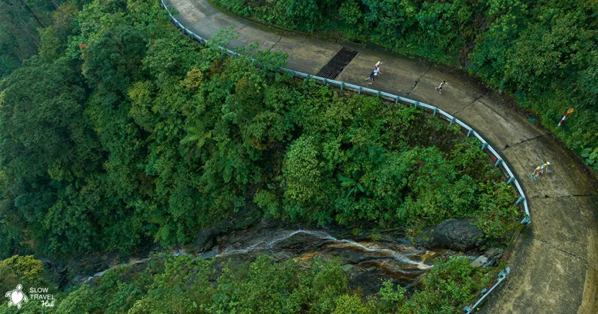 Birdwatching in Hue: Exploring Bach Ma National Park's Avian Diversity