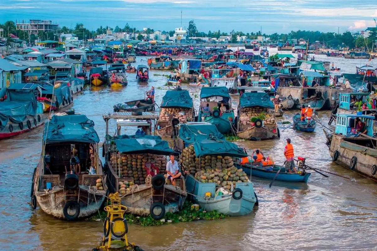 Ca Mau Province Travel Guide: Exploring Vietnam's Southernmost Region