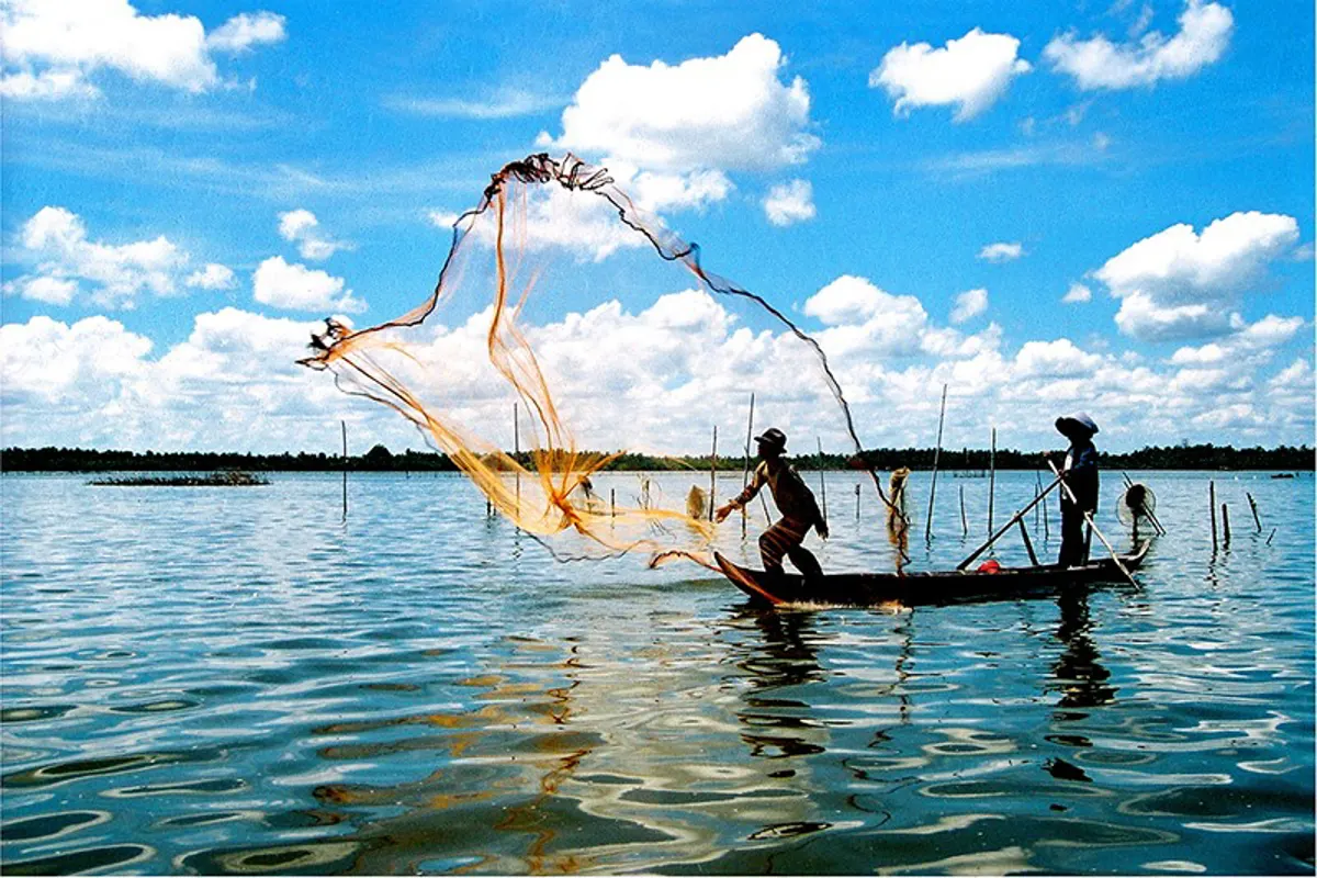 Da Bac Island: A Guide to Ca Mau's Unique Southwestern Coast