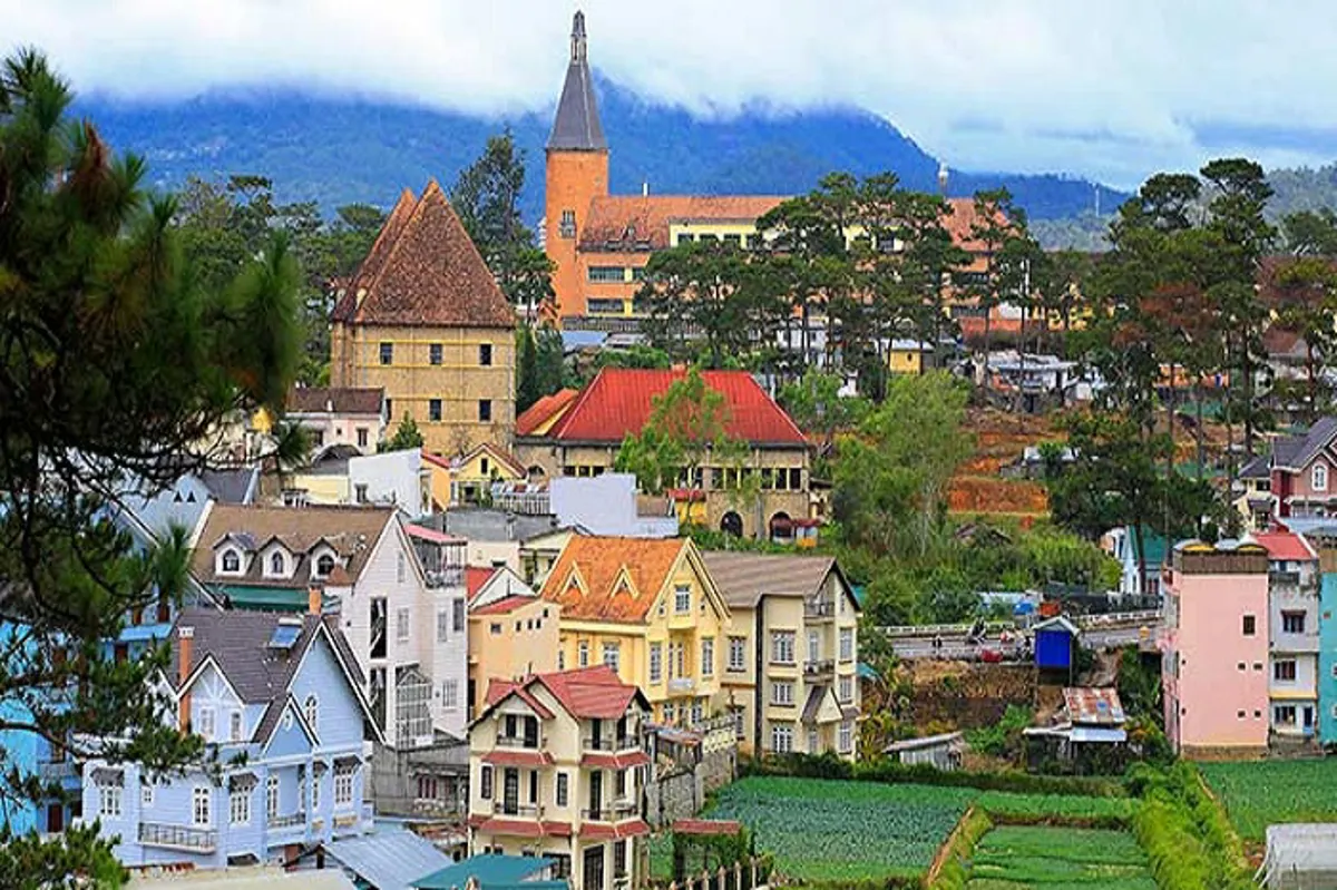 Da Lat's Historic Churches: A Guide to Architectural Landmarks