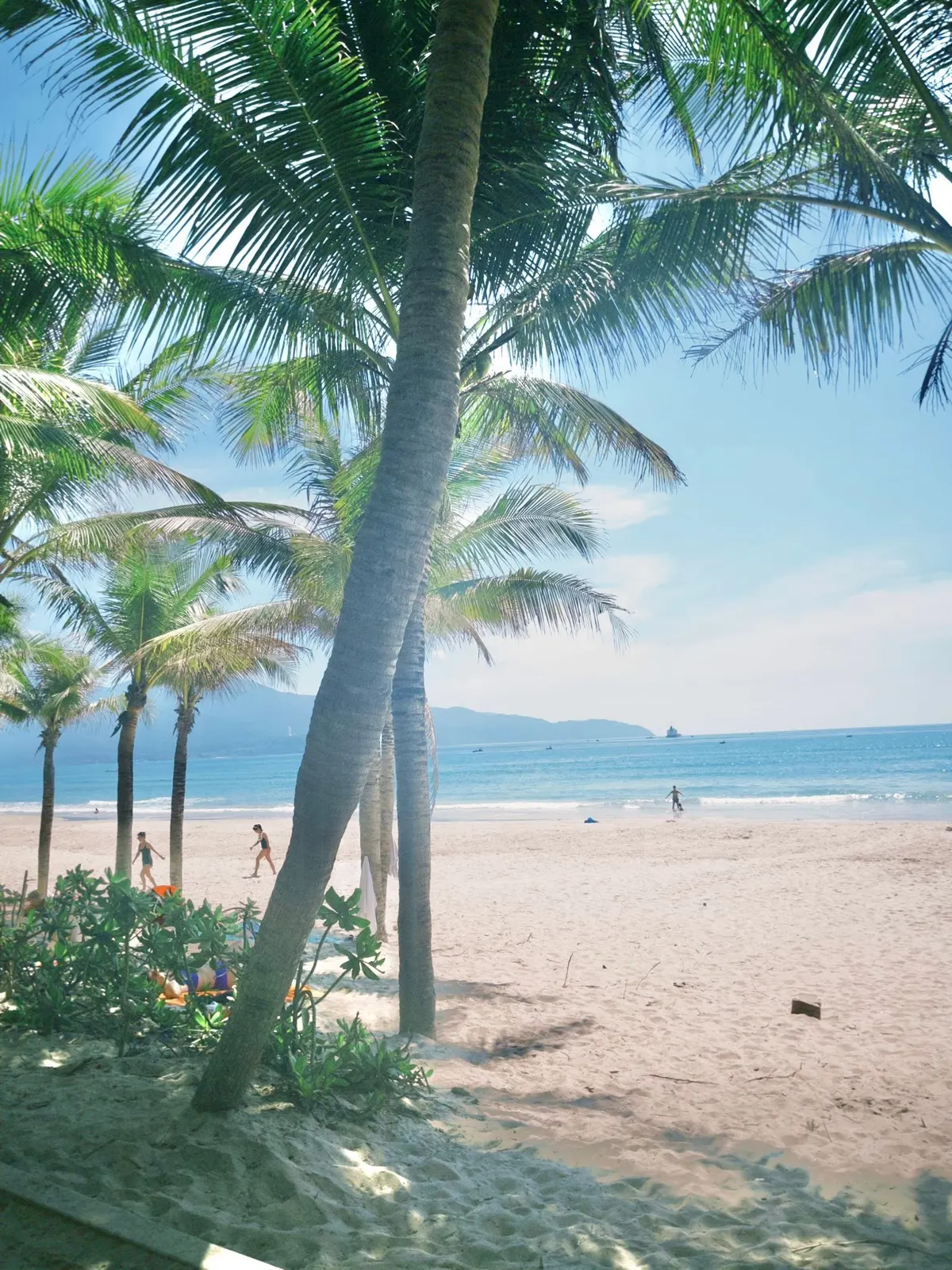 Da Nang Travel Guide: Exploring Central Vietnam's Coastal City