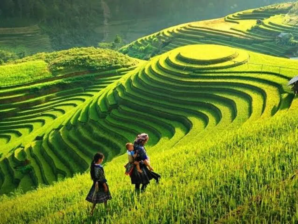 Exploring Hoang Su Phi: Trekking Through Northern Vietnam's Terraced Landscapes