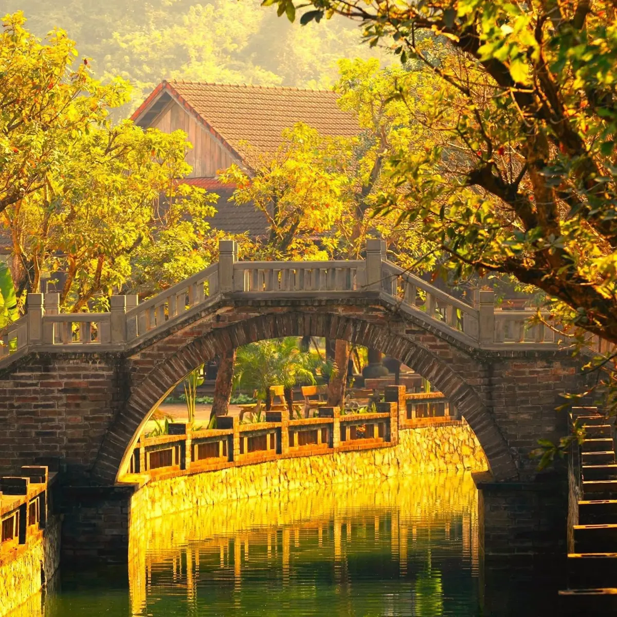 Exploring Ninh Binh's Waterways: A Guide to Boat Tours