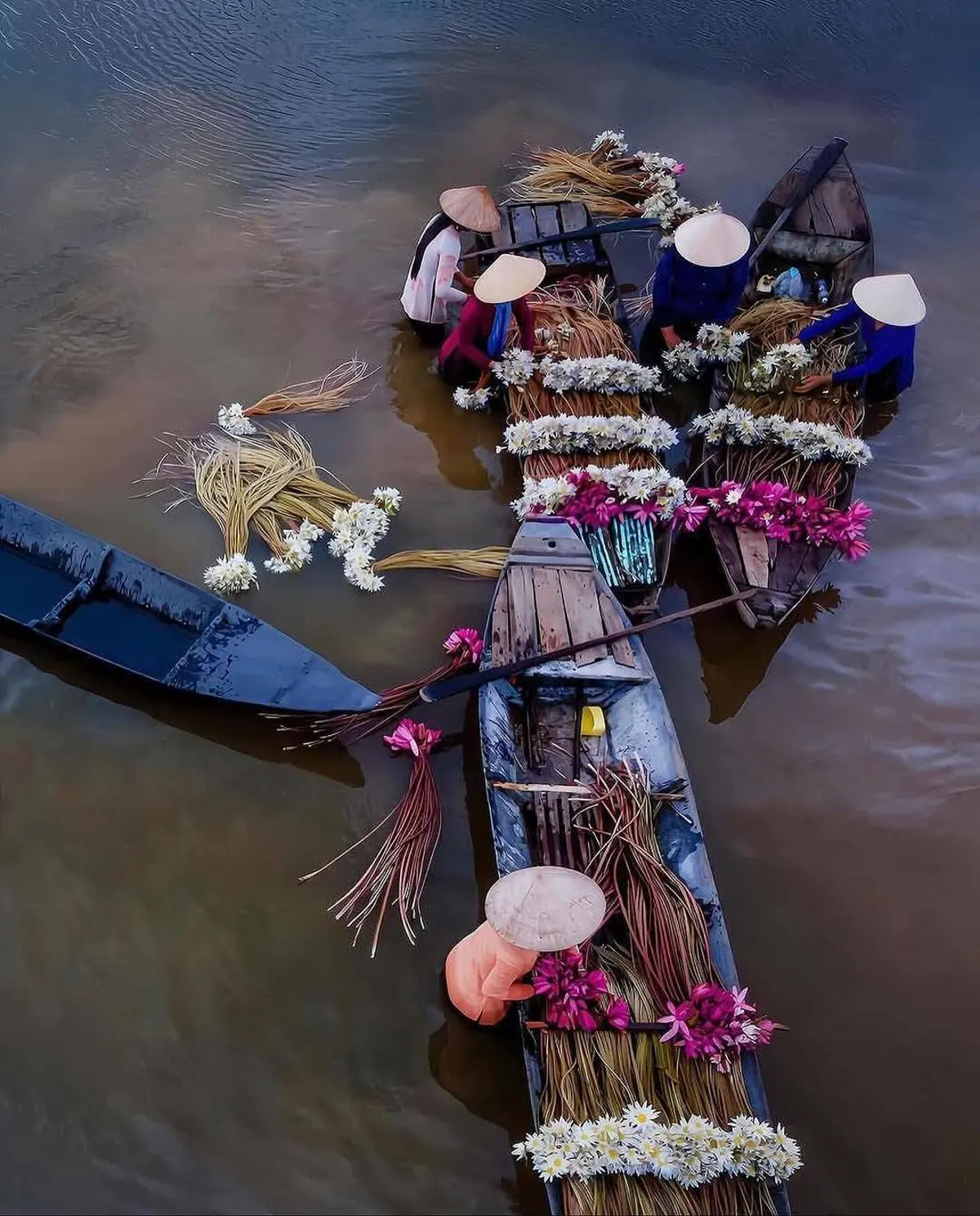 Exploring Vietnam's Mekong Delta: Diverse Travel Options