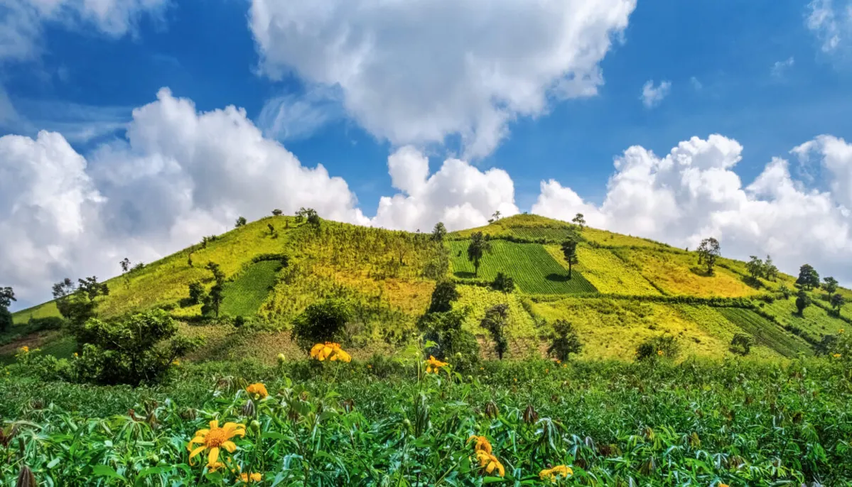 Gia Lai Province: Exploring Vietnam's Central Highlands Climate and Culture