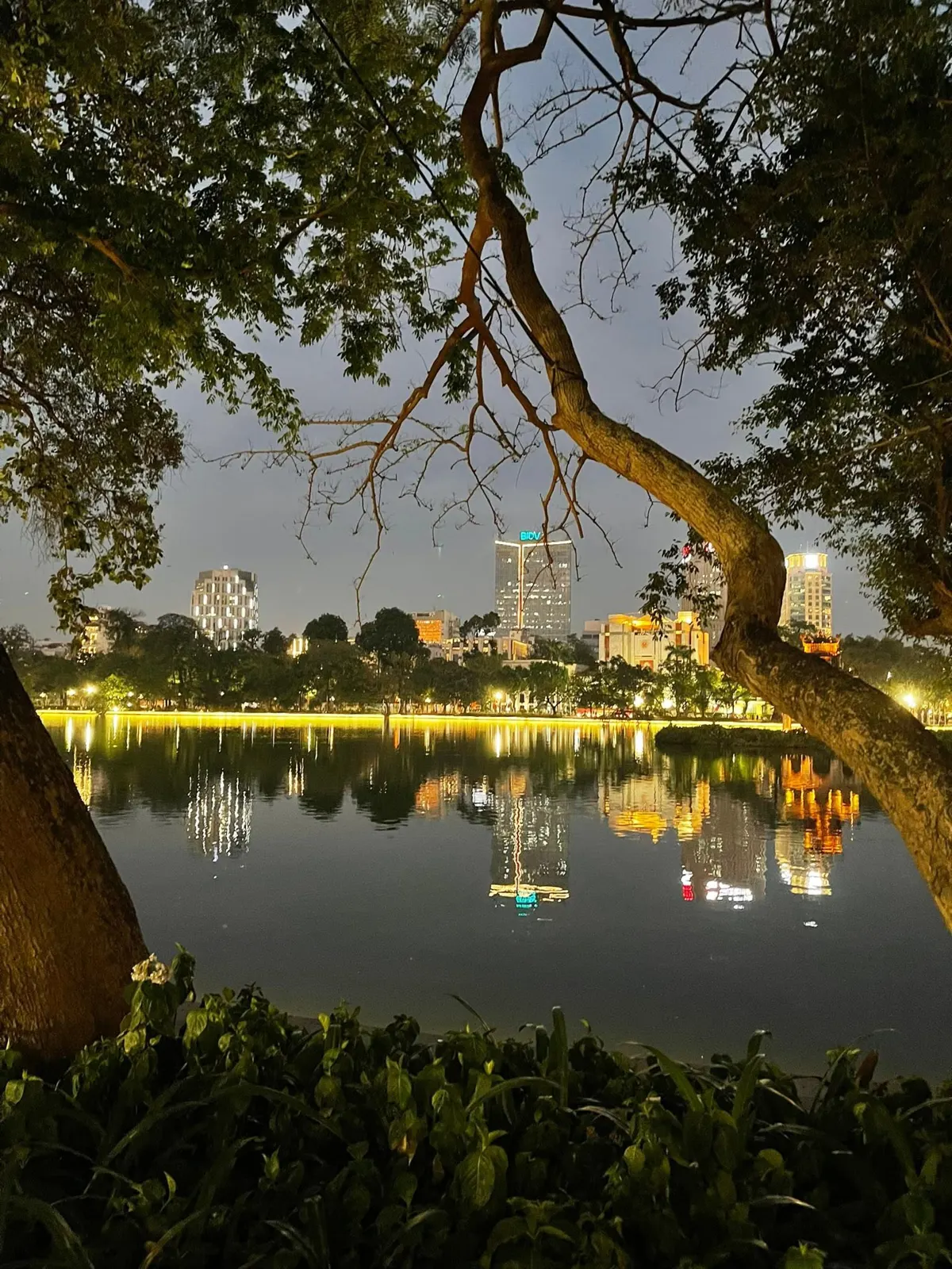 Hanoi Street Food Guide: Essential Dishes and Where to Find Them