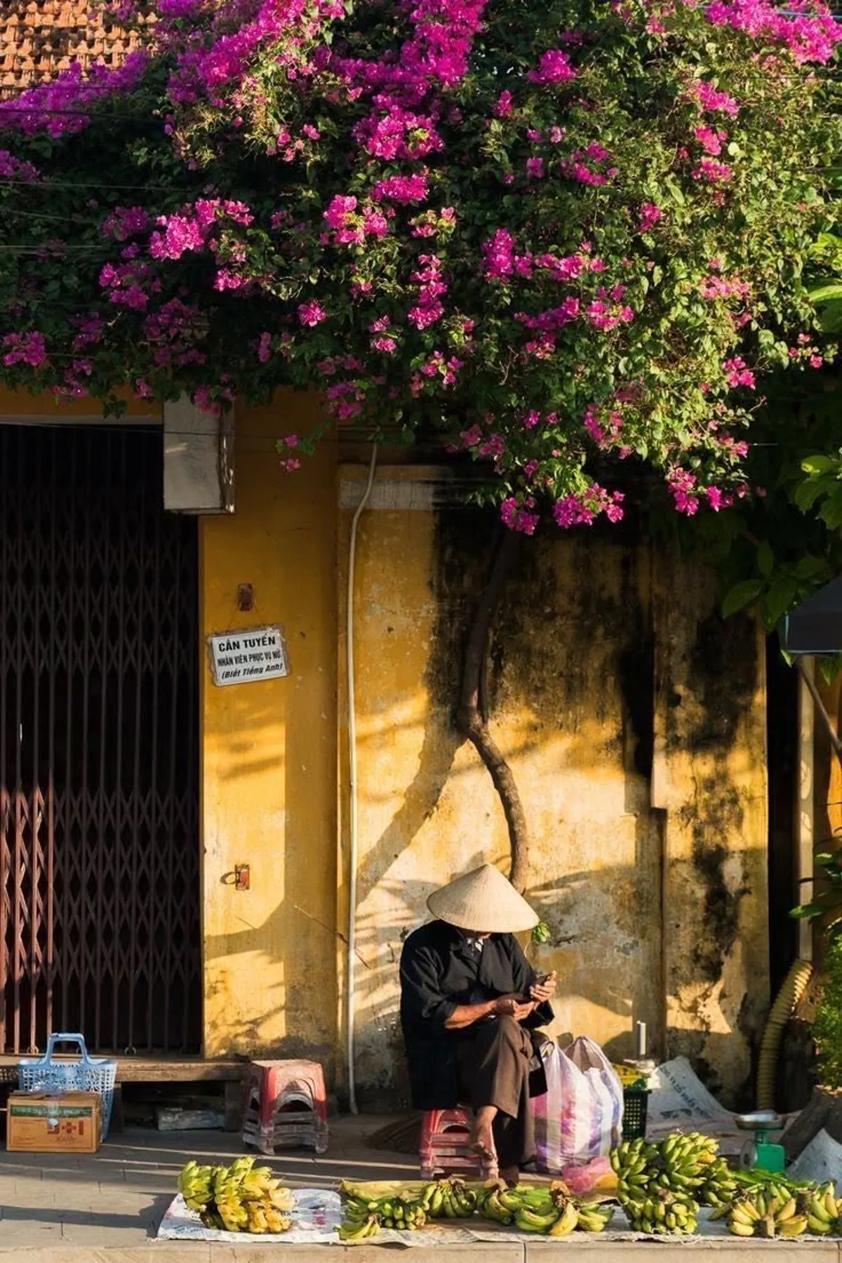 Hanoi Travel Planning: Understanding Seasonal Weather Patterns