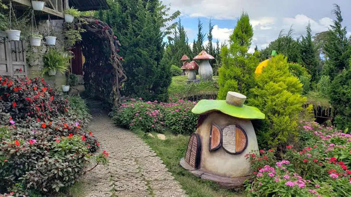 Dalat Hiking Trails: A Guide to Mountain Adventures in Vietnam's Central Highlands