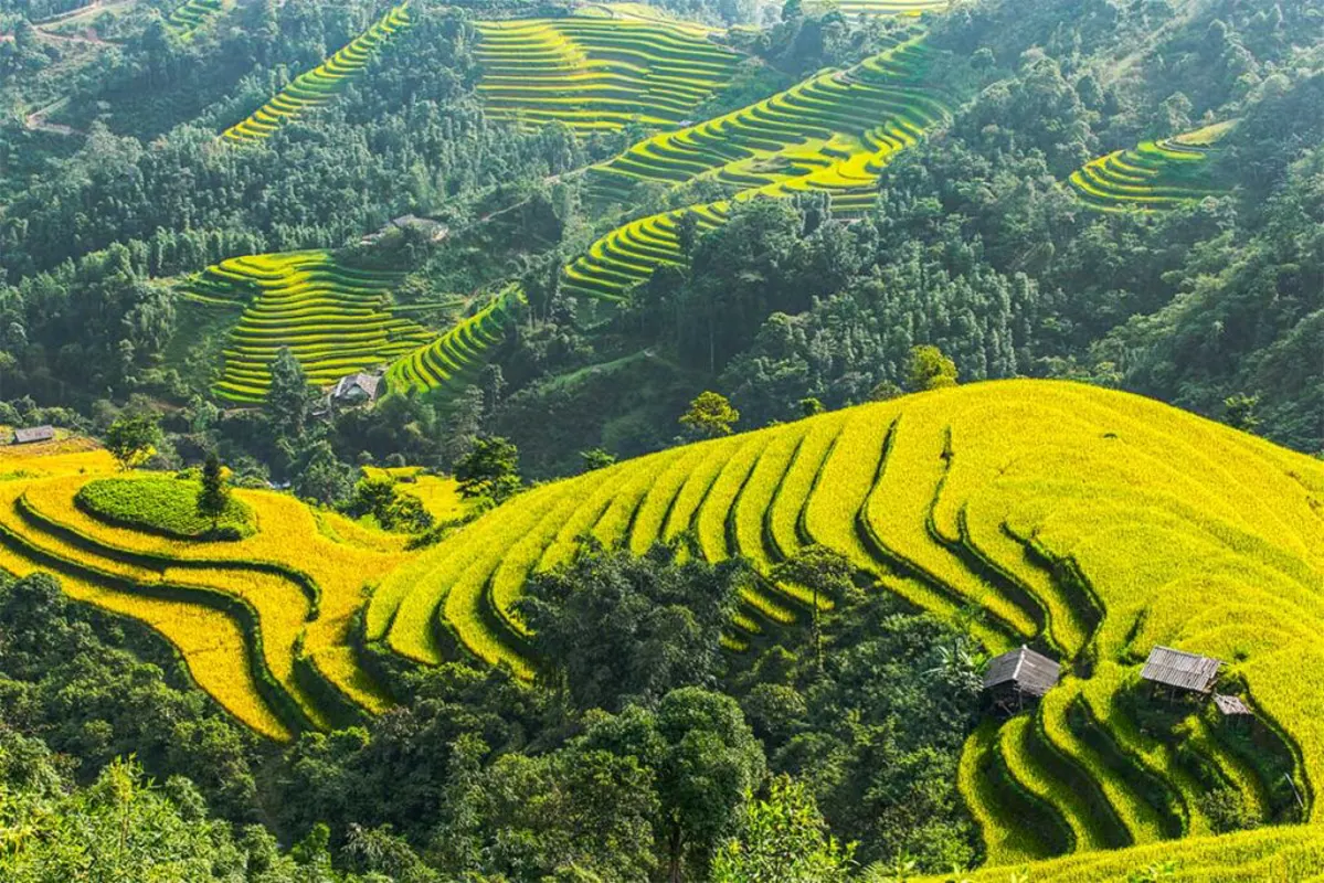 Ma Pi Leng Pass in Ha Giang: A Comprehensive Travel Guide