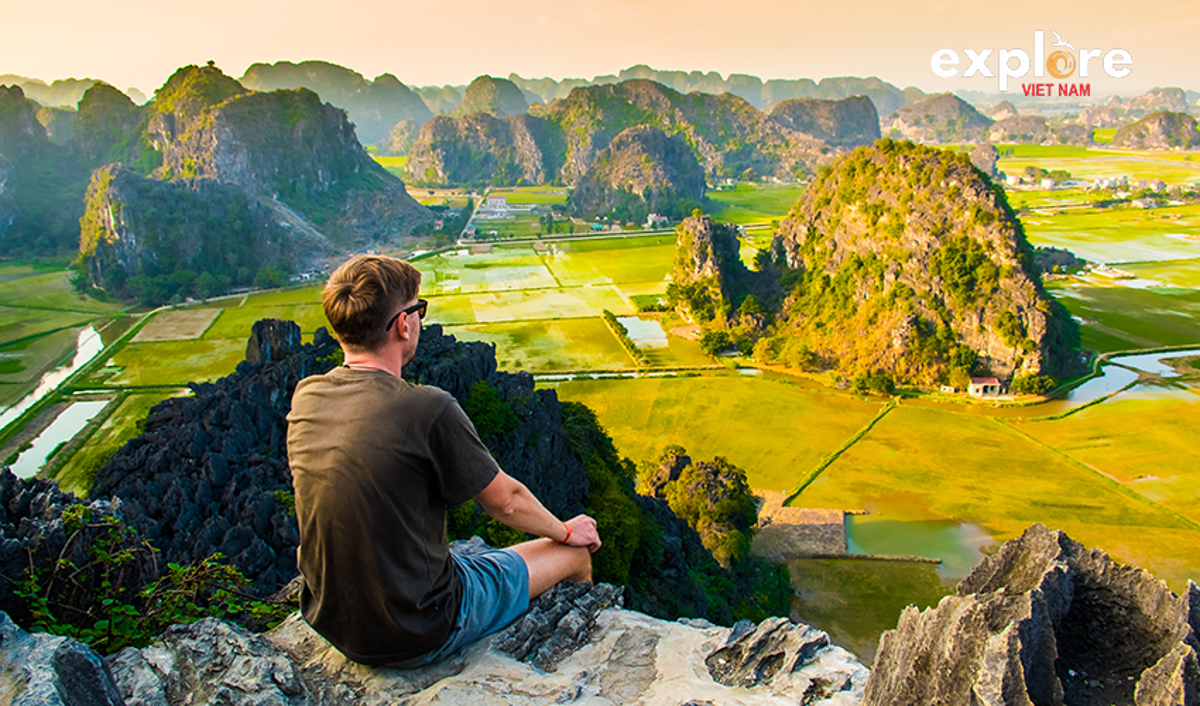 Ninh Binh in June: Experiencing the Golden Rice Harvest Season