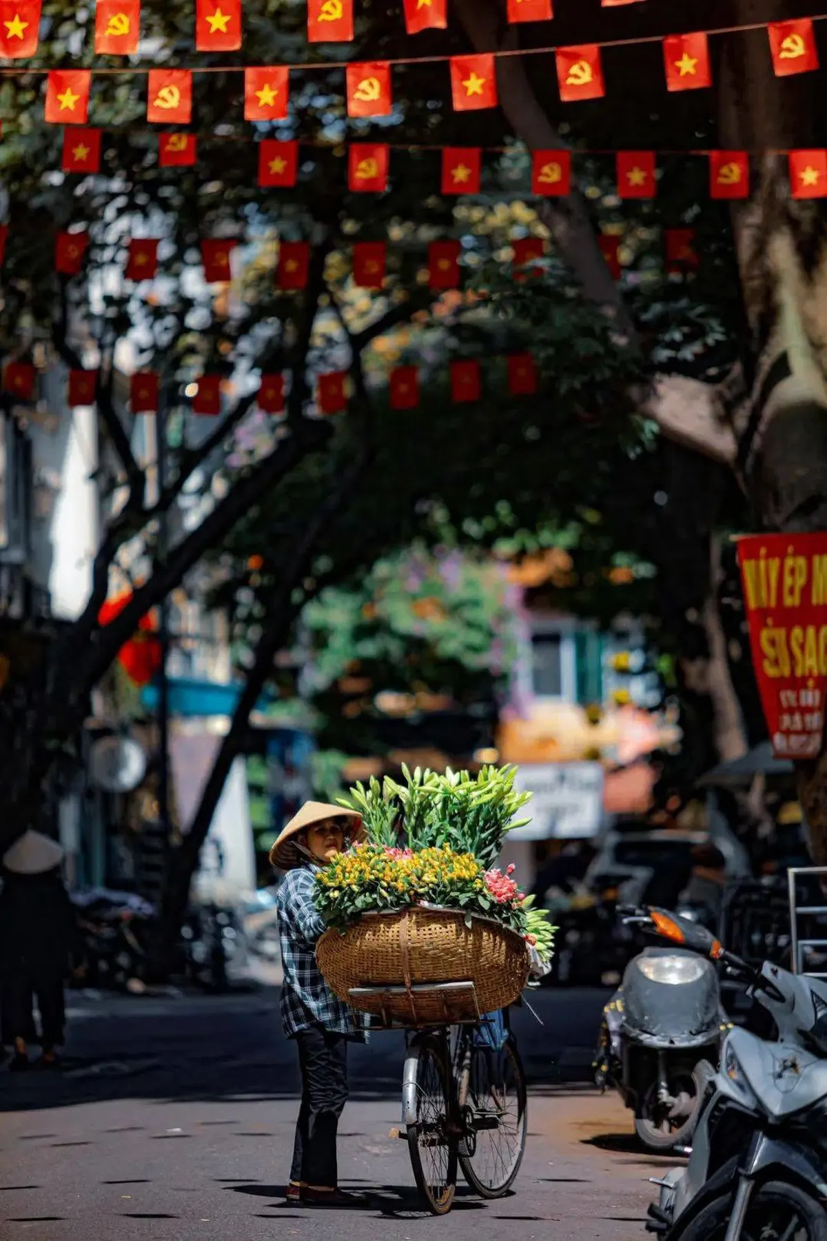 Photographing Lotus Flowers in Vietnam: A Seasonal Guide
