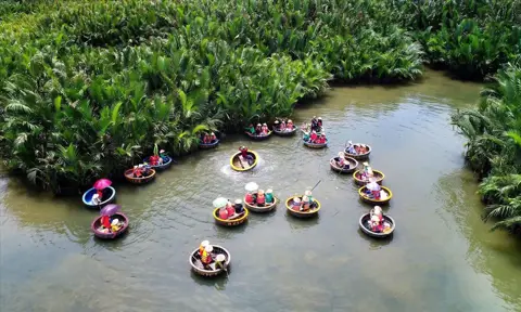 Planning Your Trip to Vietnam: A Comprehensive Traveler's Guide