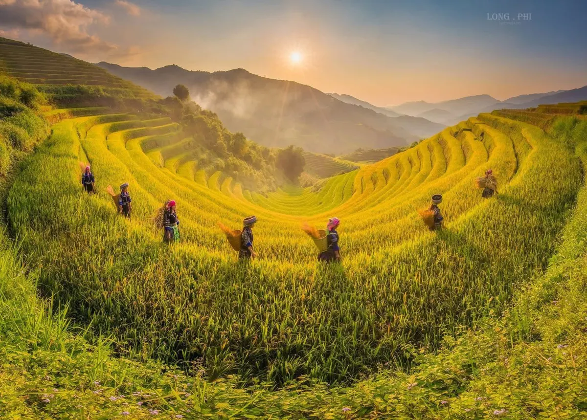 Fast Food in Vietnam: An Overview of International Chains and Local Preferences
