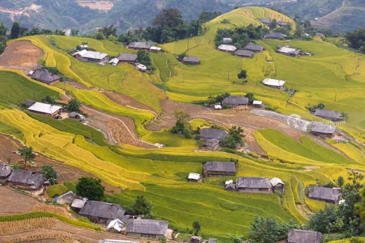 Ha Giang Travel Guide: Top Attractions and Cultural Experiences