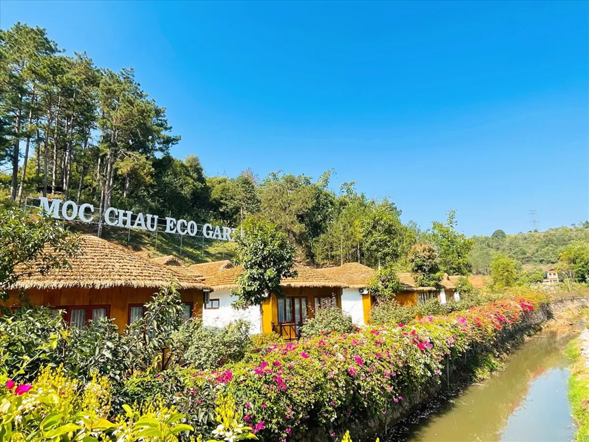 Vietnam's Bach Long Glass Bridge: A Guide to the World's Longest Transparent Walkway
