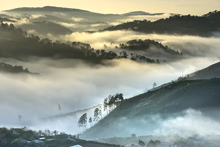 Panoramic misty view of Da Lat highlands with pine forests and rolling hills