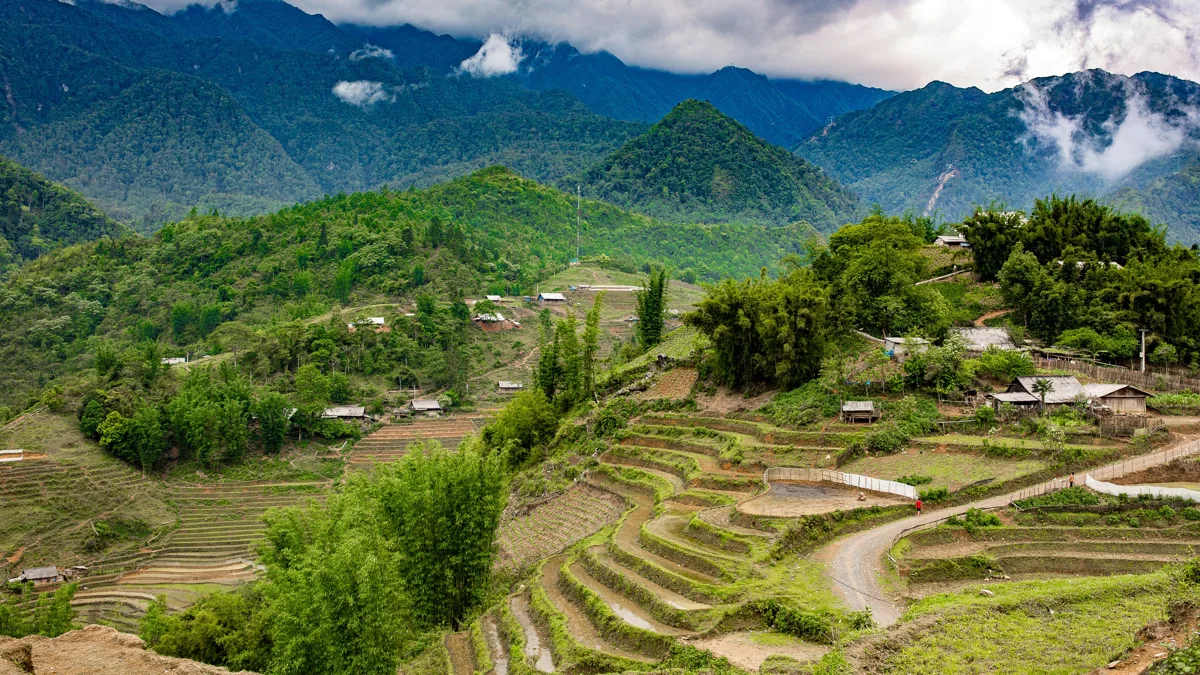 Terraced rice fields and mountain valleys in the Hoang Lien range near Sapa