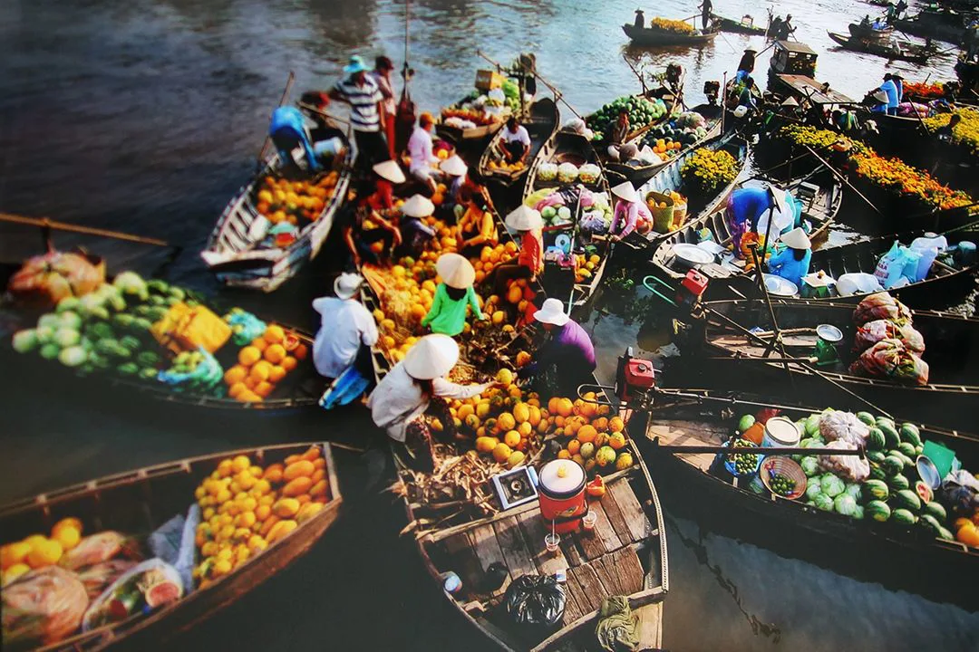 Traditional sampan boat navigating a narrow coconut canal in My Tho, Mekong Delta, Vietnam, with lush green vegetation.