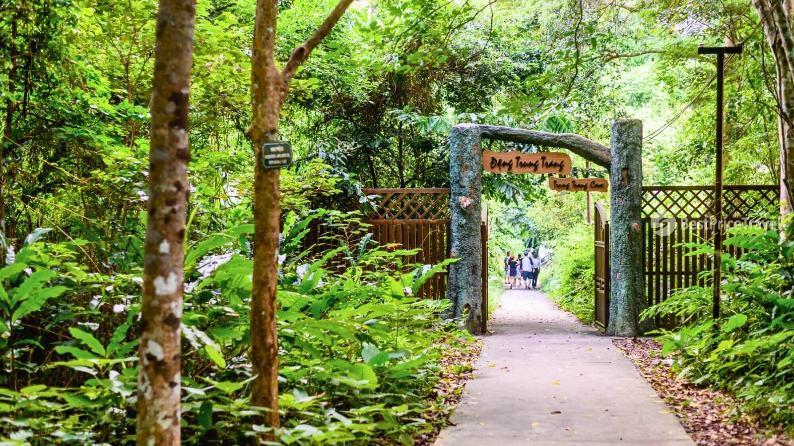Venture into the greenery and biodiversity of Trung Trang Cave