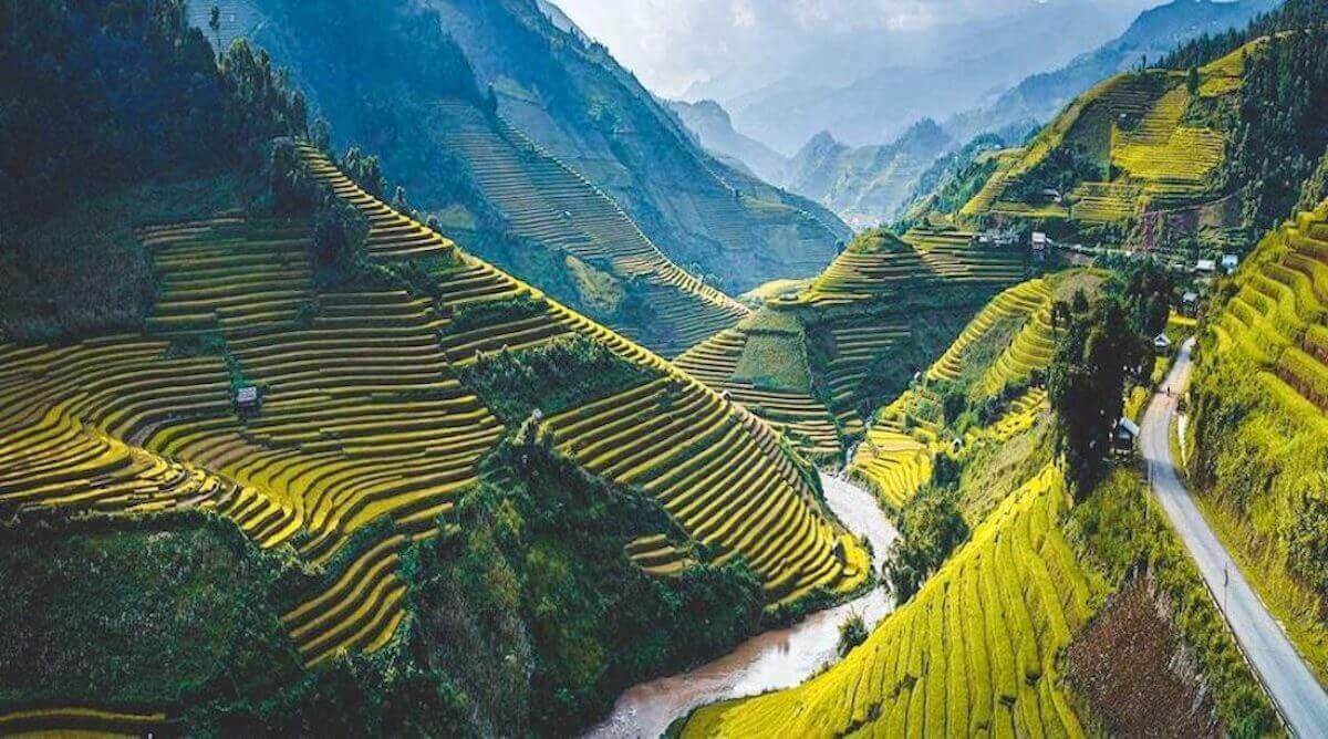 Vietnam Tours
