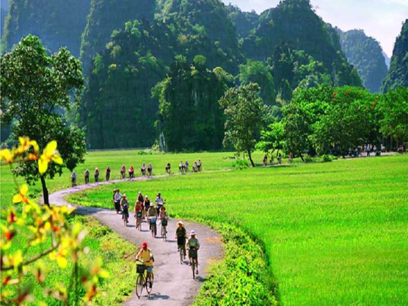 Northern Vietnam Highlights: Halong Bay, Sapa & Ninh Binh – 6 Days