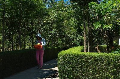 Cycling through Thuy Bieu Village, Hue