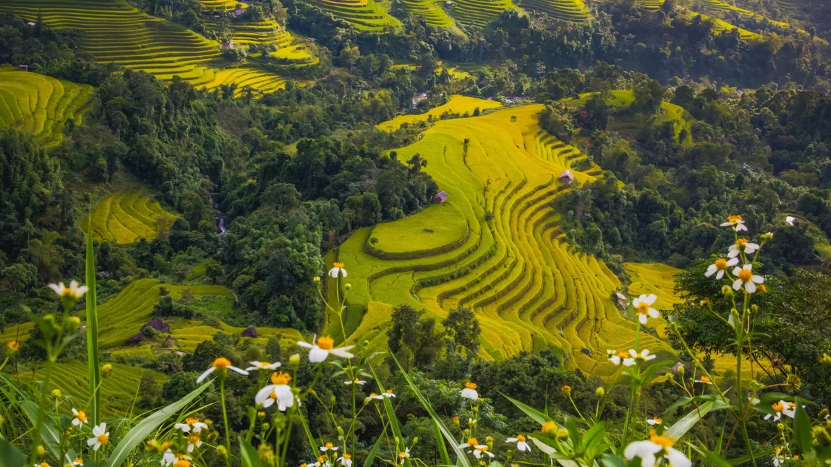 Southeast Asia Grand Tour: Thailand, Vietnam & Cambodia – 28 Days