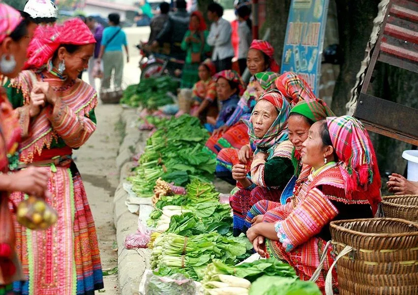Northern Vietnam Highlands Adventure: Ha Giang, Sapa & Fansipan – 3 Days