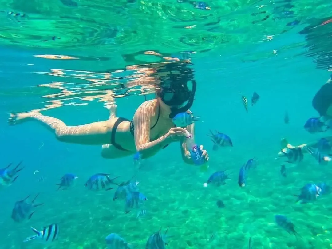 Vietnam Adventure: Northern Trekking, Coastal Snorkeling & Southern Cycling – 12 Days