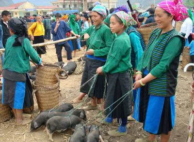 Terraced rice fields and ethnic villages in Sapa, Vietnam