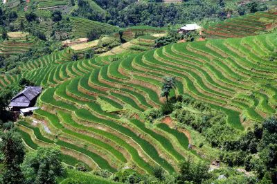 Ta Phin Village, Sapa