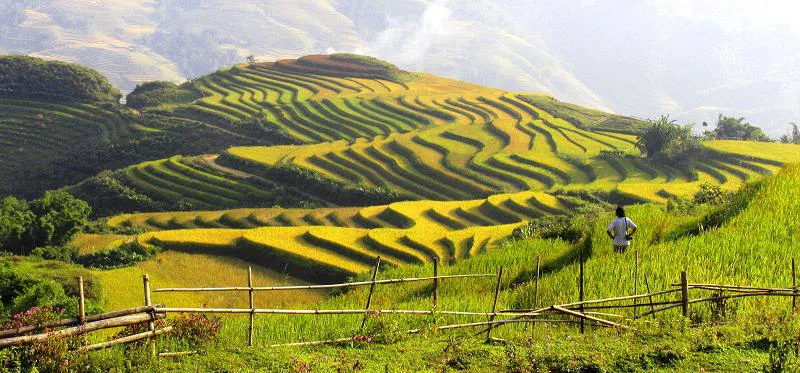 Y Linh Ho village in Sapa